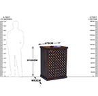 Solid Wooden Wood Bakhra Door Design Small Bar Cabinet