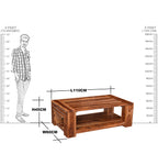 [Solid Wood Furniture] - [Raj Handicraft]