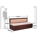 Solid Wooden Stripe Sofa Cum Bed