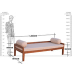 Solid Wood Diwan Sofa Cum Bed